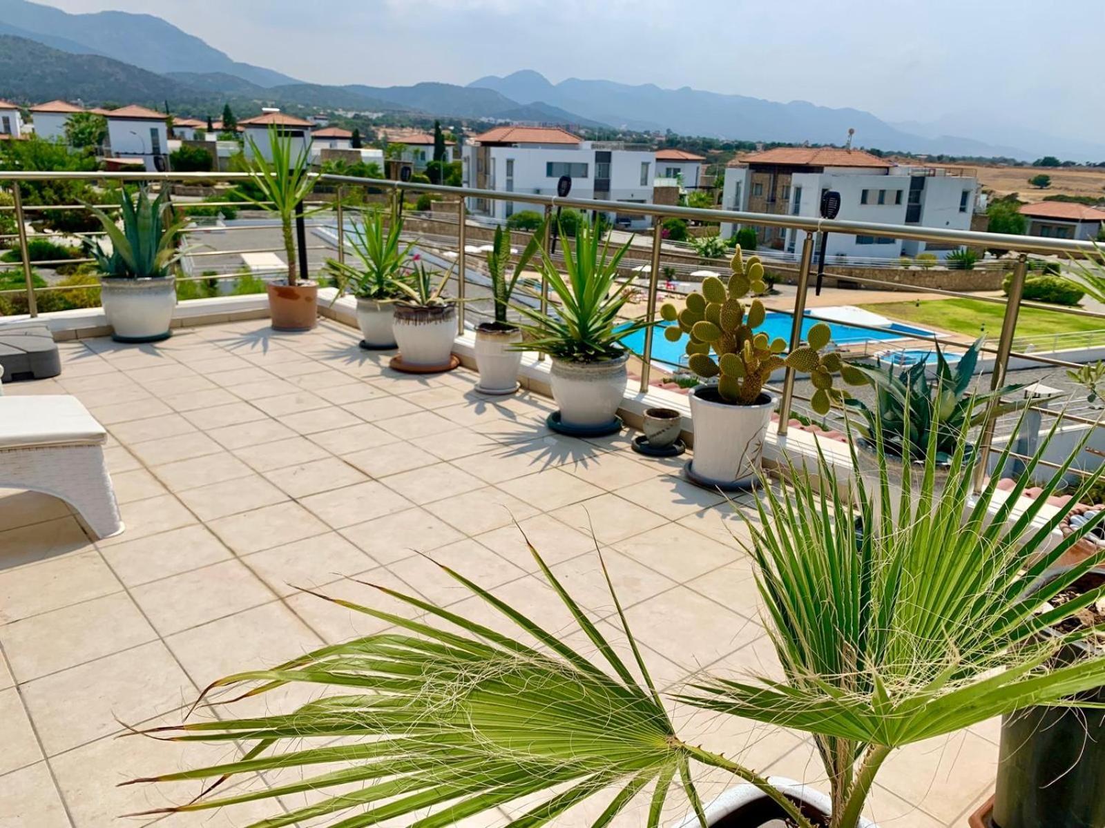 Boho Bay Apartment Akanthou Ngoại thất bức ảnh