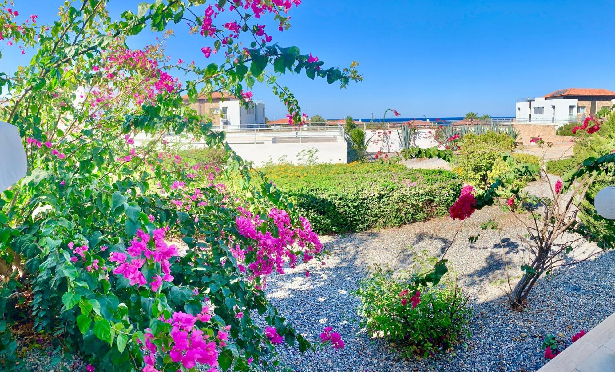Boho Bay Apartment Akanthou Ngoại thất bức ảnh